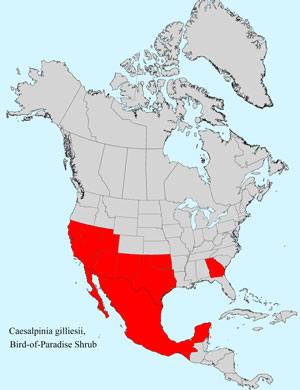 North America species range map for Bird-of-Paradise Shrub, Caesalpinia gilliesii: